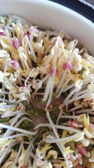 Spontaneous Mung Bean Sprouts recipe