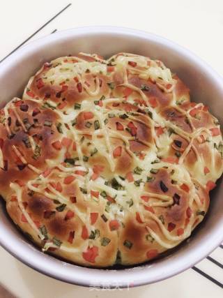 Scallion Ham Salad Dressing Meal Pack recipe