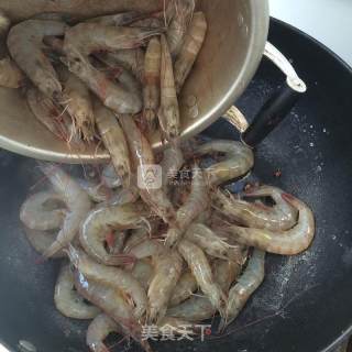 Brine Shrimp recipe