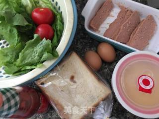 Quick Pocket Sandwich recipe