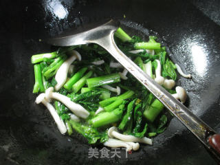 #trust of The Beauty# Stir-fried Rapeseed with White Jade Mushroom recipe