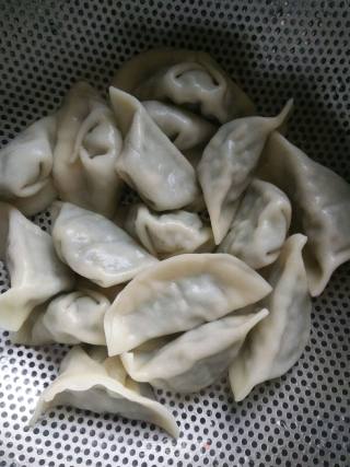 Shepherd's Purse Fried Dumplings recipe