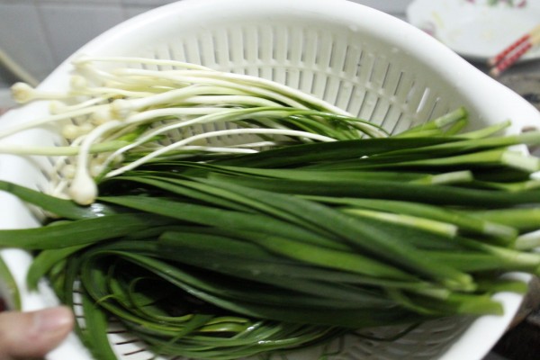 Wild Onion Leek Pork Dumplings recipe