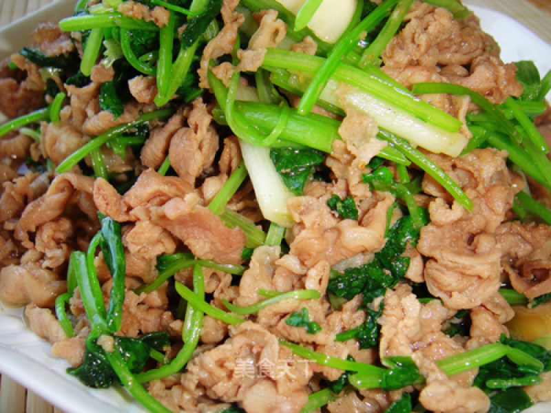 Stir-fried Lamb with Cilantro recipe