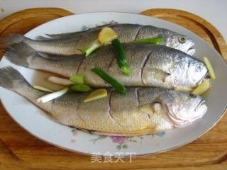 Braised Yellow Croaker in Sauce recipe