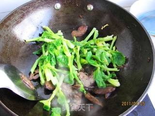 Sausage Stir-fried Vegetable Moss recipe