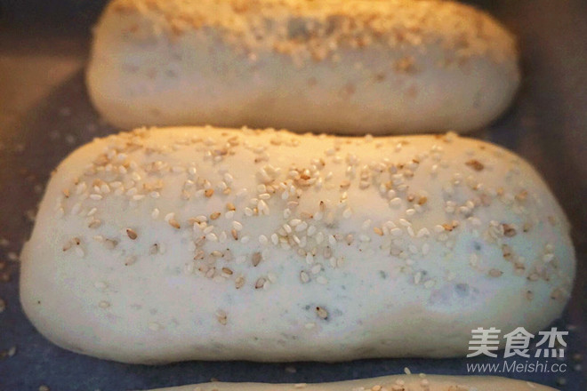 Cumin and Cilantro Bread recipe