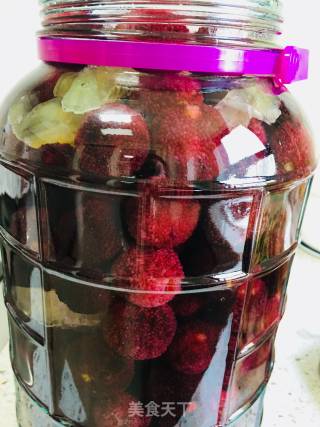 Homemade Bayberry Wine recipe