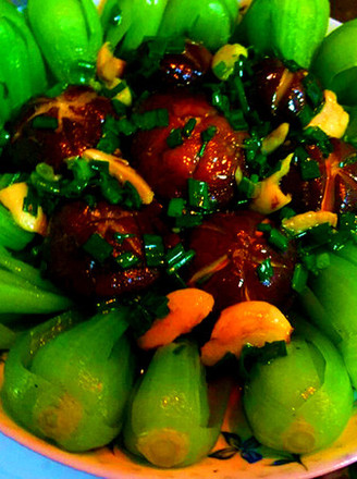 Green Mushroom Garden Medium Plate recipe