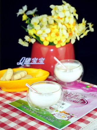 Probiotic Yogurt recipe