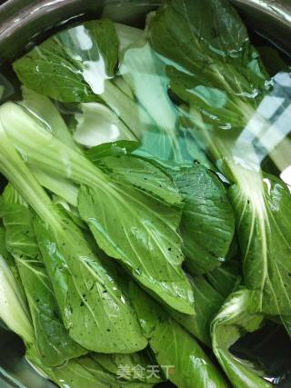 Garlic Shanghai Green recipe