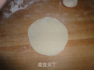 Dandelion Pork Dumplings recipe