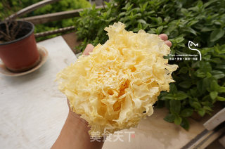 Peach Gum Tremella Snow Lotus Seed recipe