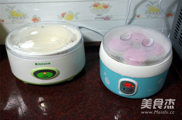 Guangdong Freshly Brewed Silky Yogurt recipe