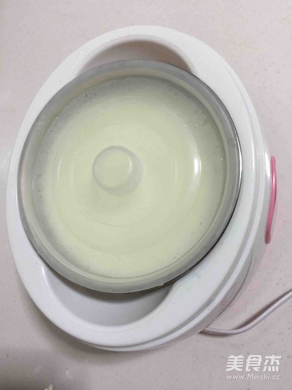 Yogurt Made from Raw Fresh Milk recipe