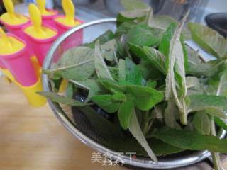 Summer Refreshing Food-mint Popsicles recipe
