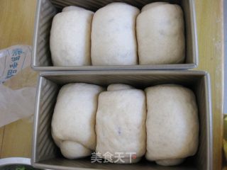 Whole Wheat Toast recipe