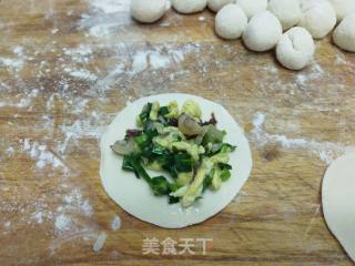 Hailing Mushroom, Shrimp, Pork and Leek Dumplings recipe