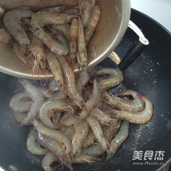 Brine Shrimp recipe