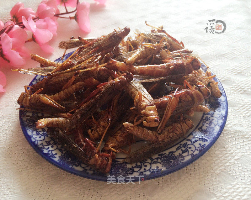 Fried Grasshopper