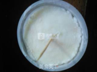 Yogurt Popsicles recipe