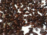 Licorice Black Bean Sauce recipe