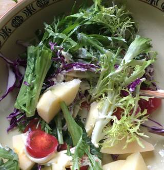 Vegetarian Salad recipe