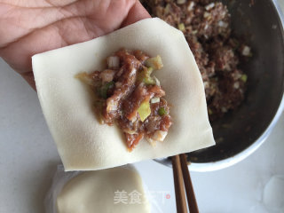 Beef Scallion Wontons recipe