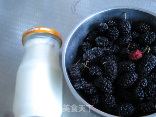 Mulberry Milkshake recipe