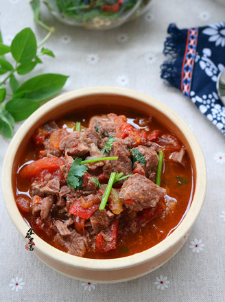 Tomato Beef Stew recipe