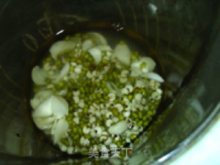Lily Barley and Mung Soy Milk recipe