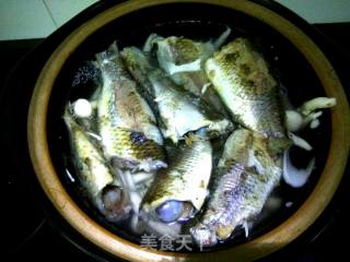 Braised Tofu with Carassius and Bailing Mushroom recipe