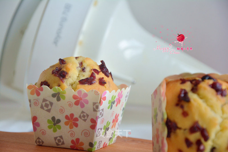 Cranberry Soy Milk Muffin