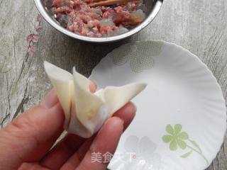 Wontons with Fresh Meat and Shrimp recipe