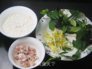 Honeysuckle Lean Pork Congee recipe