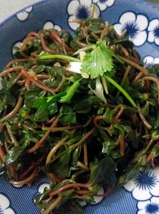 Horse Amaranth Salad with Garlic recipe