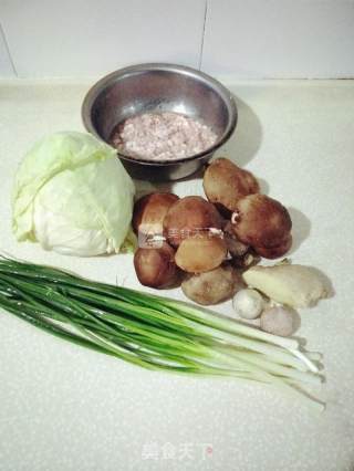 Pork Pie with Mushrooms and Cabbage recipe