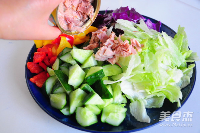 Tuna Vegetable Salad recipe