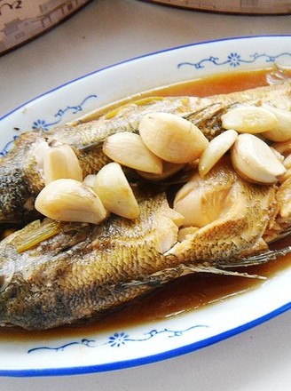 Grilled Fish with Garlic Sauce