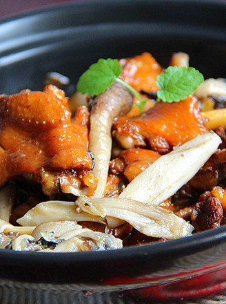 Chicken Stewed with Mushrooms