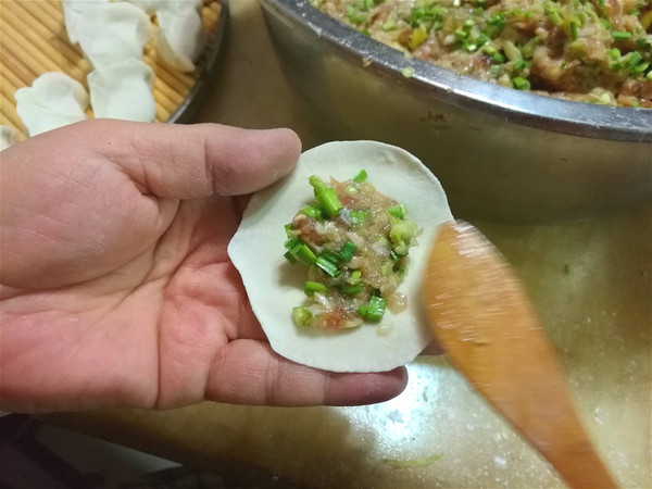 Beef and Cabbage Dumplings recipe