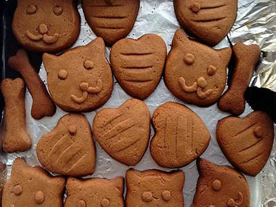 Hefei Training Chocolate Biscuits recipe