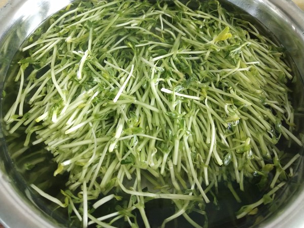 Bean Sprouts in Soup recipe