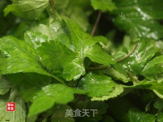 Pearl Cabbage Soup: A Fast and Fresh Soup that Chaoshan People Love to Eat recipe