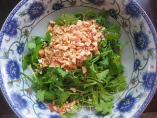 Coriander Mixed with Chopped Peanuts recipe