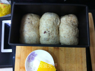 Visible Whole Wheat Toast recipe