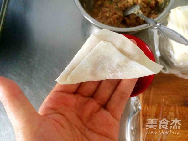 Chaoshou (wonton) recipe