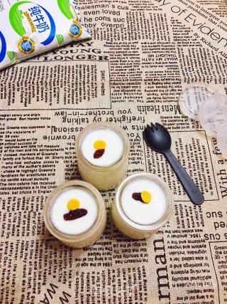 #纯奶版# Homemade Yogurt recipe