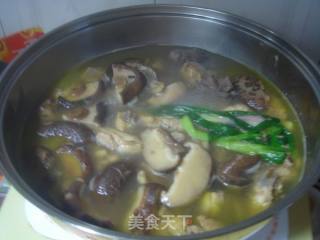 Stewed Chicken Soup with Fresh Mushrooms recipe