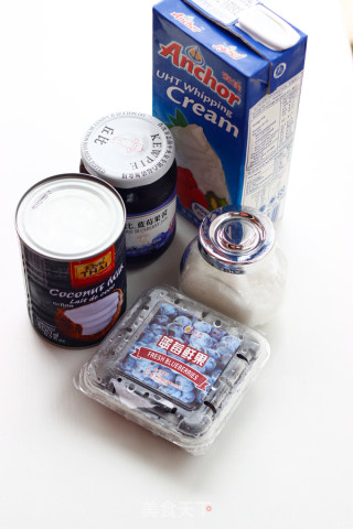 【blueberry Coconut Milk Ice Cream】 recipe
